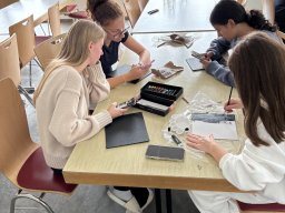 Freizeit Moosenmättle 2025